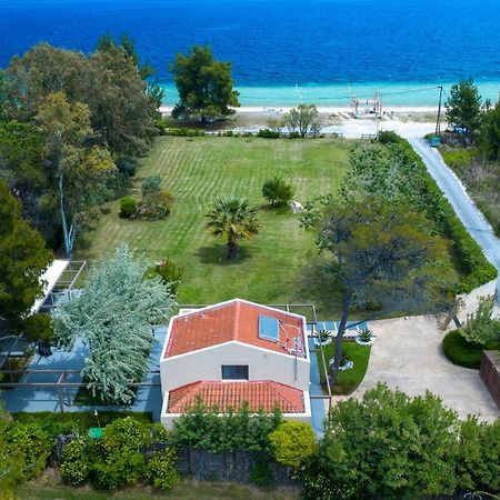 Tiamo Secrets - Palm Garden Villa Vourvourou Eksteriør billede