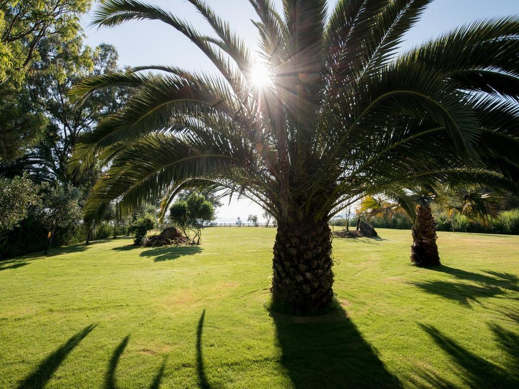 Tiamo Secrets - Palm Garden Villa Vourvourou Eksteriør billede