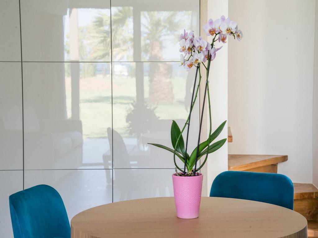 Tiamo Secrets - Palm Garden Villa Vourvourou Eksteriør billede