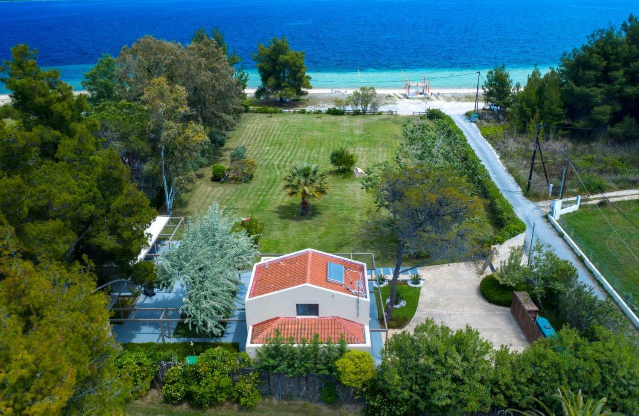 Tiamo Secrets - Palm Garden Villa Vourvourou Eksteriør billede